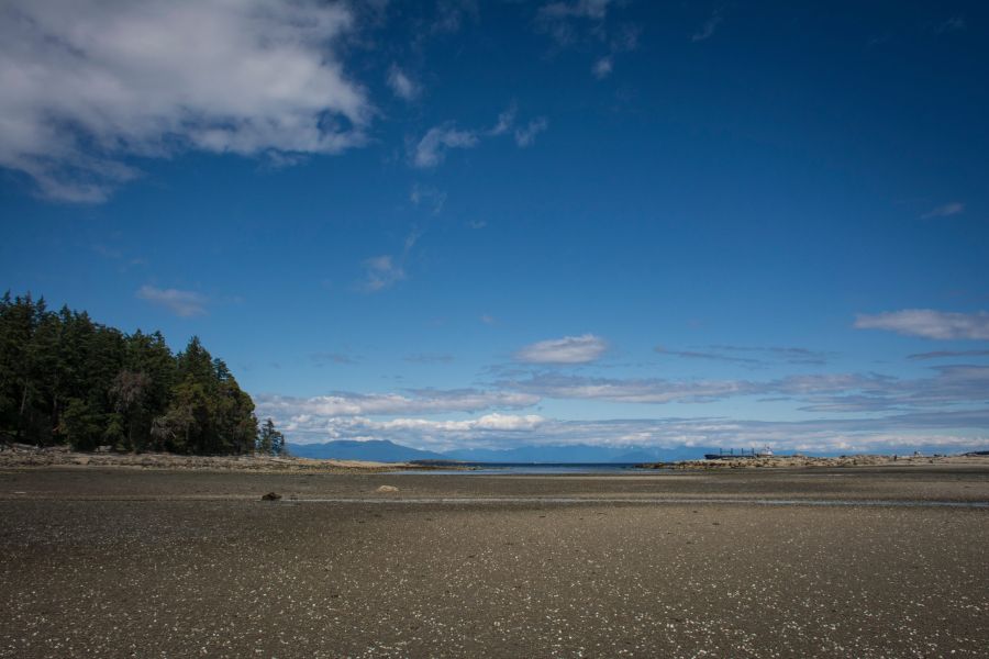 Photo of Nanaimo beach Ballard Fine Homes