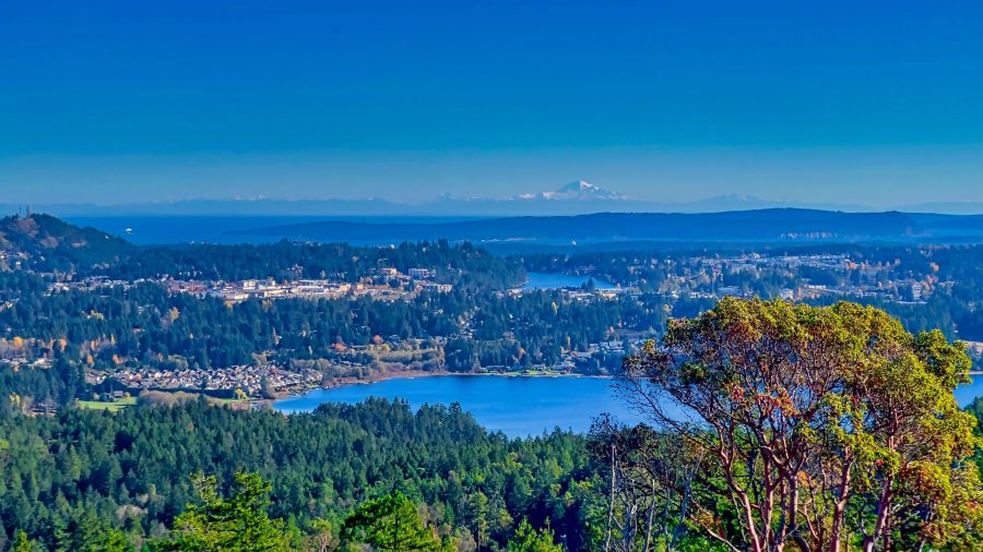 Photo of Nanaimo city and forest Ballard Fine Homes