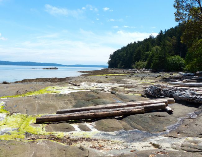 Landscape photo overlooking Nanaimo, BC water